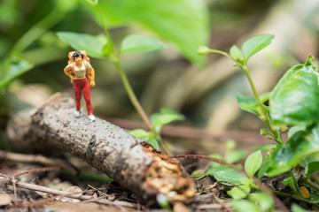 Miniature people, travelers trekking in rain forest. Travel and leisure concept.