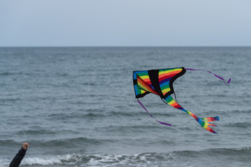 Cropped hand flying kite
