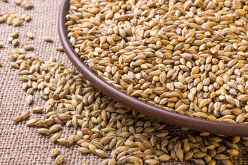 scattered barley in a plate and sackcloth