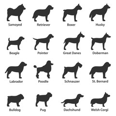 Dogs breed. Monochrome icons set. Dog side view, simple symbols collection