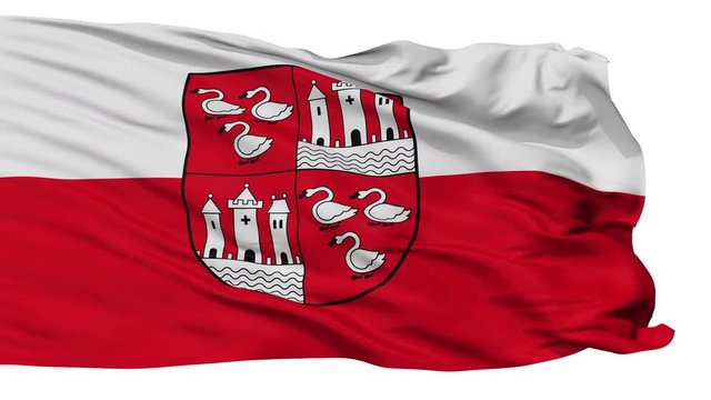 Zwickau flag, city of Germany, realistic animation isolated on white seamless loop - 10 seconds long (alpha channel is included)