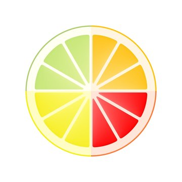 Color icon composed of a cut of four citrus fruits orange, lemon, grapefruit and pomelo on a white background. The concept of healthy fruit eat, diet meal 