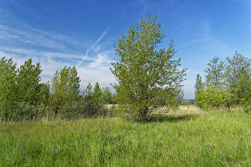 Geiseltalsee bei Mücheln, Burgenlandkreis, Sachsen-Anhalt, Deutschland