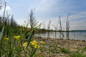 Geiseltalsee bei Mücheln, Burgenlandkreis, Sachsen-Anhalt, Deutschland