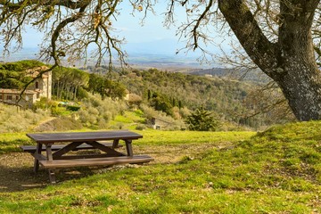 Wooden table under a tree in early spring