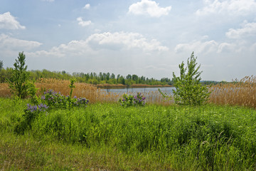 Geiseltalsee bei Mücheln, Burgenlandkreis, Sachsen-Anhalt, Deutschland