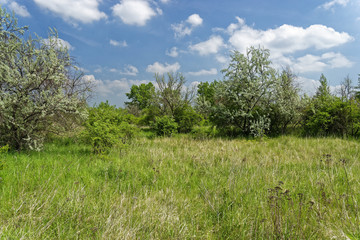 Geiseltalsee bei Mücheln, Burgenlandkreis, Sachsen-Anhalt, Deutschland