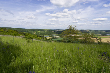 Landschaft der Karlstadter Trockenrasen im NSG Mäusberg, Unterfranken, Franken, Bayern, Deutschland