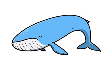 Tuinposter Blue Whale Cartoon, a hand drawn vector doodle illustration of a blue whale fish. © Séa