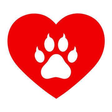 paw of dog in red heart on white background