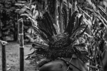 Cocar indígena Guarani