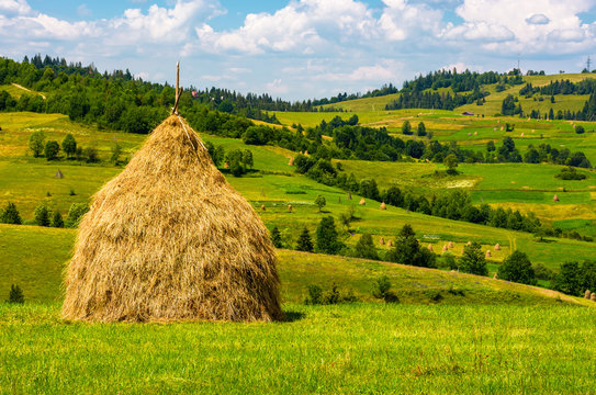 haystack on the grassy field. beautiful summer countryside of mountainous area