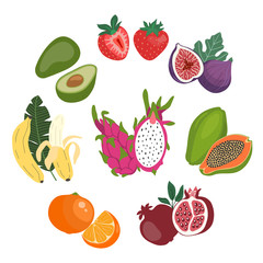 Cute flat illustration set of the whole and sliced fresh fruits.Template for your design. Vector illustration.