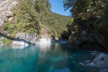 Lagune im Regenwald