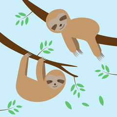 Cute sloths cartoon sleeping and hanging on tree branch background. Vector illustration.