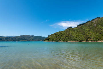 Türkises Meer in Neuseeland
