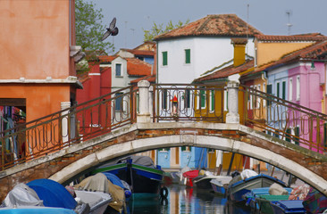 Pedestrian bridge over the canal between colorful houses in Burano, Venice. Flying dove on the background of sky.