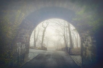 Misty Early April Morning at Fort Tryon Park