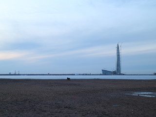 Fototapeta na wymiar skyscraper standing on the shore of a frozen bay