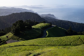 Road to Mt Tam