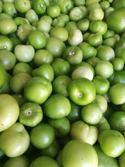 Tomates verdes