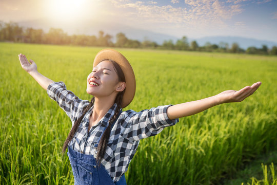 Happy Farmer Waving In Rice Paddies.