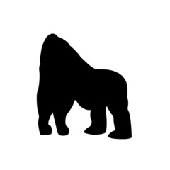 Gorilla vector