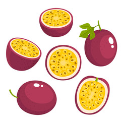 Bright vector set of fresh passion fruit isolated on white - 199831130