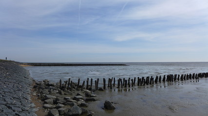 Naklejka premium Bunen im Wattenmeer bei Wilhelmshaven