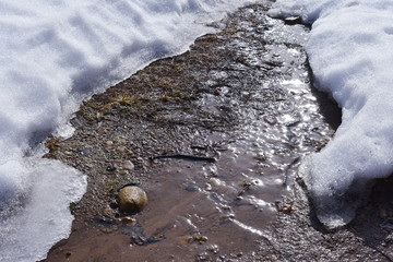 Spring, melting snow, a trickle running through pebbles