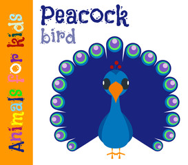 Peacock. Bird. Animals for children. Cards for the development of the youngest children with the image of animals, birds, insects, reptiles. Vector. Color picture