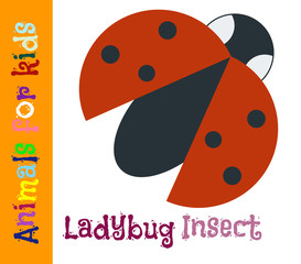 Ladybug. Insect. Animals for children. Cards for the development of the youngest children with the image of animals, birds, insects, reptiles. Vector. Color picture