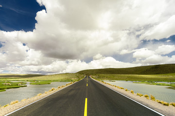 Empty road with flock of alpacas in a natural reserve of Arequipa, Peru