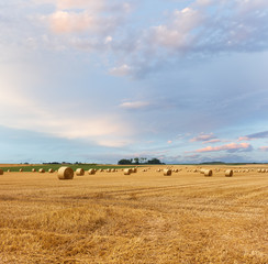 Fototapeta na wymiar Yellow golden straw bales of hay in the stubble field, summer landscape under a blue sky with clouds