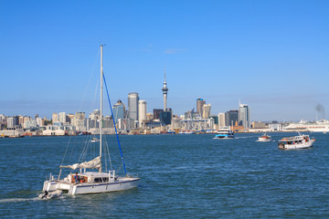 Fototapeta na wymiar Auckland harbour
