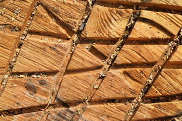 Texture of saw down pear tree trunk as background.