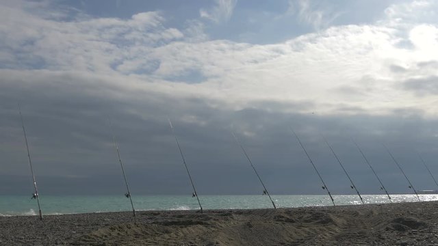 Fishing rods fixed in the sand