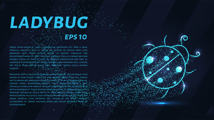 Ladybug of particles. Ladybug consists of circles and points. Vector illustration.