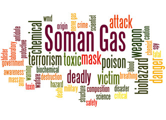 Soman nerve agent word cloud concept