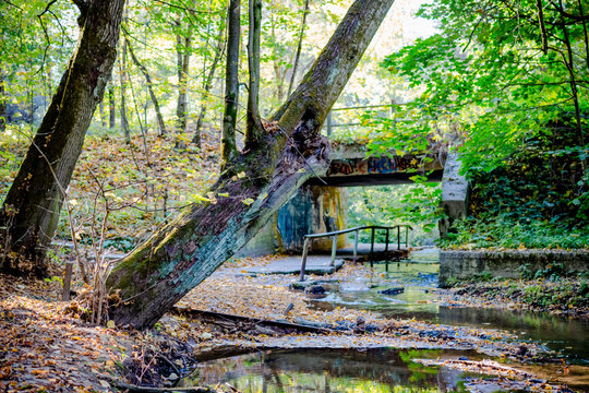 Pedestrian tunnel on a small river in the forest
