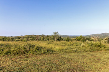 Fototapeta premium Rural Landscape with Hills and Valleys Blue Sky