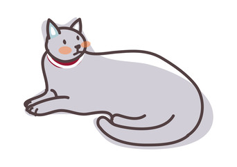 vector icon