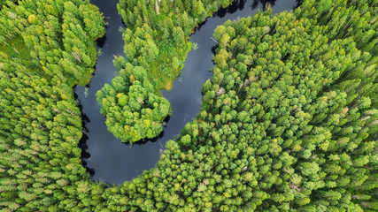 Aerial view on the forest and river. Beautiful natural landscape at the summer time