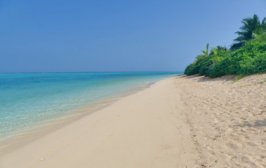 Azure beach on Maldive island with green palm trees