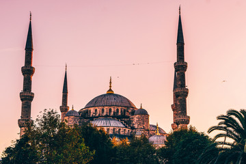 Mosquée Sultan Ahmet - Mosquée Bleu - Istanbul - Turquie