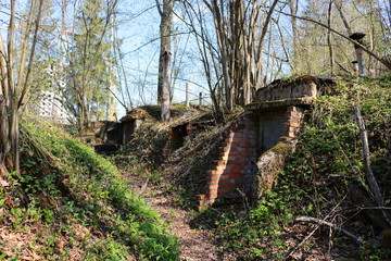 Old abandoned cellars for storing vegetables
