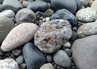 Fototapeta na wymiar A variety of cobble stones on the beach in the Pacific Northwest