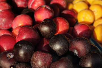 yellow and red plum under the sun on street market
