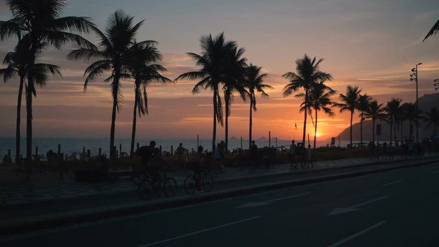 Palm trees silhouettes against beautiful sunset on Ipanema Beach, Rio de Janeiro. Slow motion, out of focus background