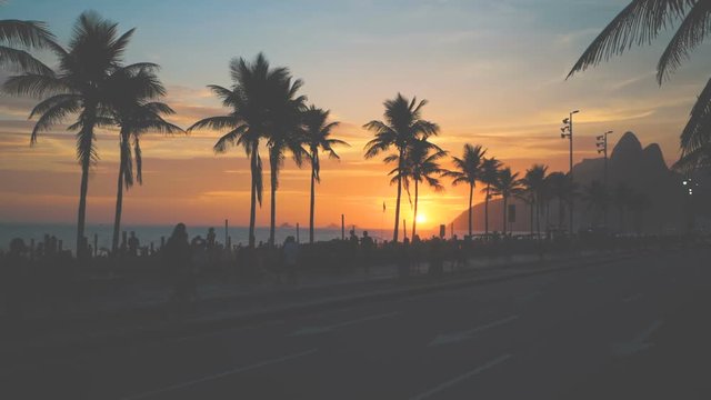 Palm trees silhouettes against beautiful sunset on Ipanema Beach, Rio de Janeiro. Slow motion, out of focus. Vintage colors